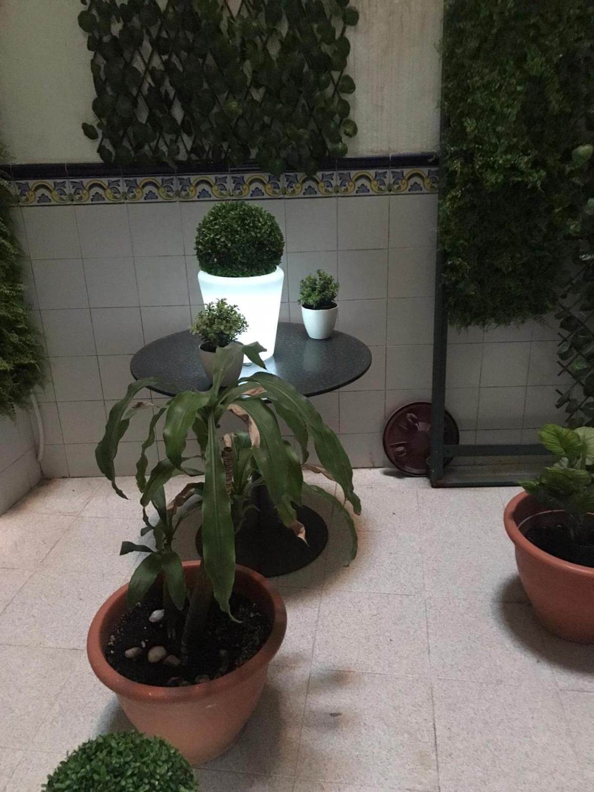 דירות La H Escondida ולנסיה מראה חיצוני תמונה